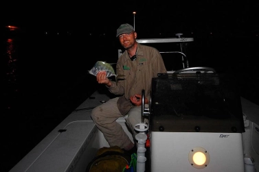 Moonfish in Florida Moonfish in Florida