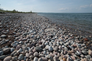 Stoney coast Stoney coast