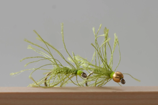 GYMF and GYMBH GYMF and GYMBH