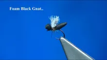 Video thumb for One of the First Terrestrial Flies Of the Season