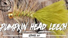 Video thumb for Pumpkin Head Leech